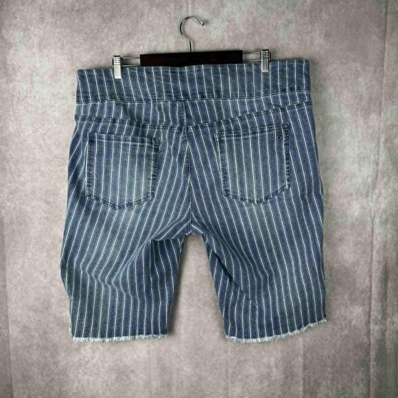 DG2 by Diane Gilman Blue Pinstripe Denim Bermuda Shorts 2X High Rise Raw Hem Y2K - Picture 2 of 7